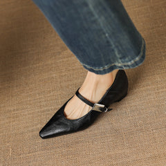 Pointed-Toe Mary Jane Flat