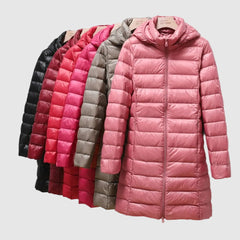 Lightweight Jacket with Detachable Hood