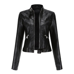 Cropped Stand-Collar Moto Jacket