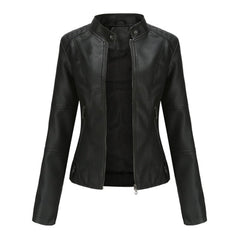 Refined Stand-Collar Moto Jacket